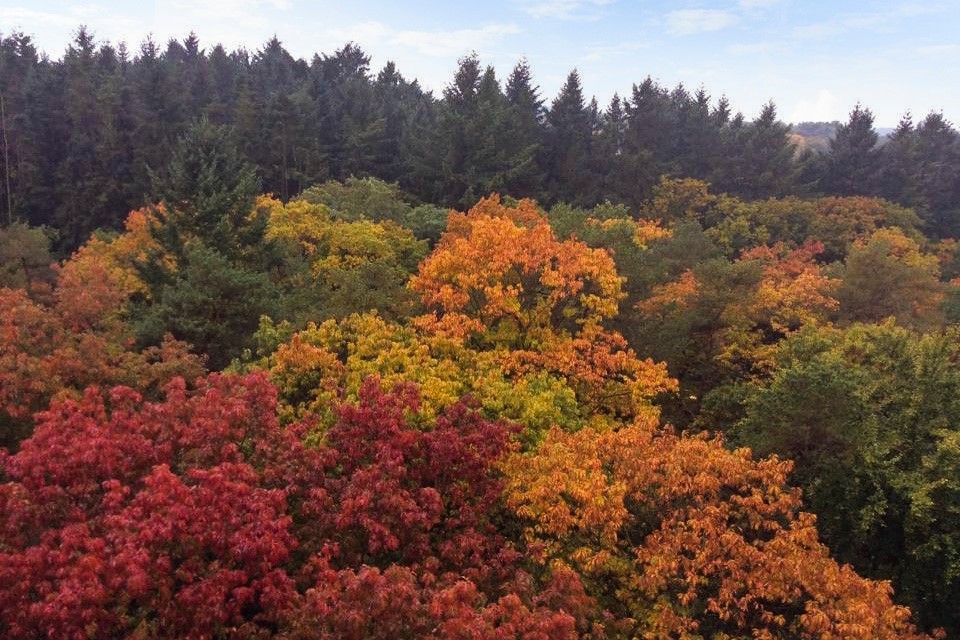 Anna Paulownalaan 172_extra02.jpg